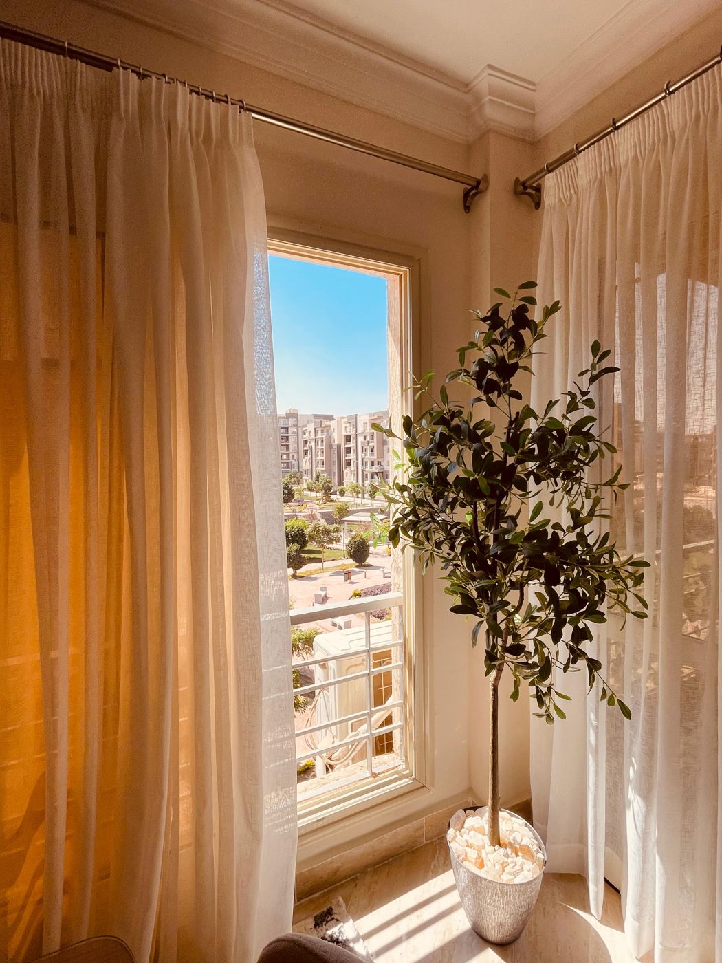 Sunlit window with an olive tree at the Garden View Residence